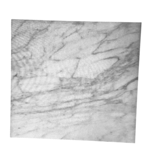 [CTA0113/BO] Boulonnais stone for friction pendulum